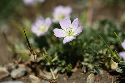 BUITEN BEELD Foto: 361845