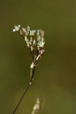 BUITEN BEELD Foto: 361921