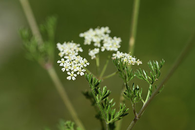 BUITEN BEELD Foto: 361926