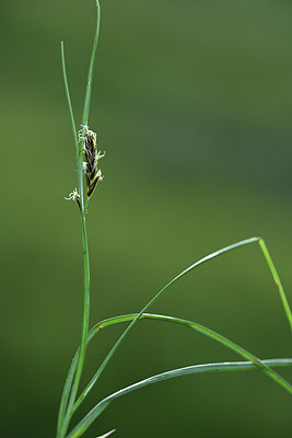 BUITEN BEELD Foto: 362030