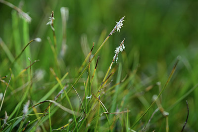 BUITEN BEELD Foto: 362031