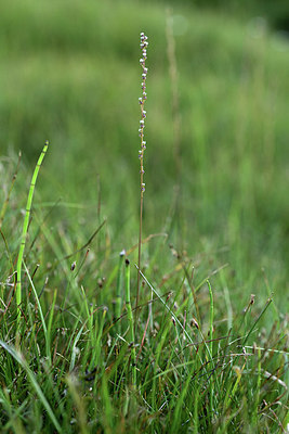 BUITEN BEELD Foto: 362035