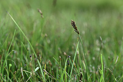 BUITEN BEELD Foto: 362038