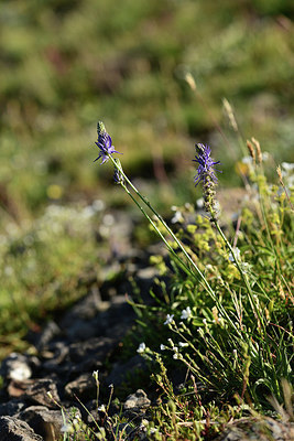 BUITEN BEELD Foto: 362064