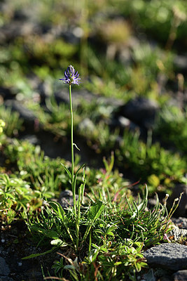 BUITEN BEELD Foto: 362065