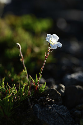 BUITEN BEELD Foto: 362067