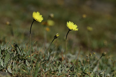 BUITEN BEELD Foto: 362071