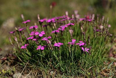 BUITEN BEELD Foto: 362075