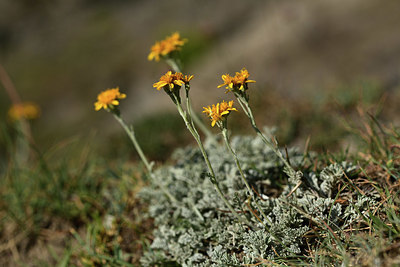 BUITEN BEELD Foto: 362078