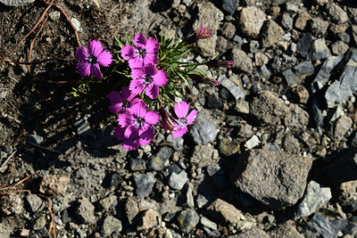 BUITEN BEELD Foto: 362083