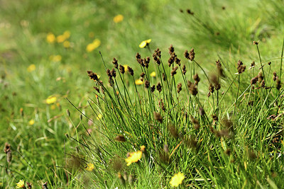 BUITEN BEELD Foto: 362090