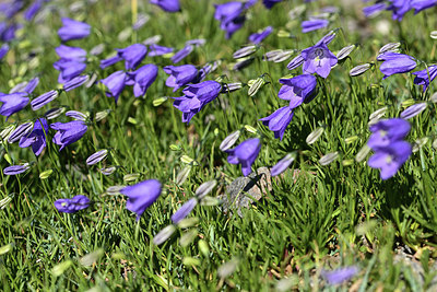 BUITEN BEELD Foto: 362101