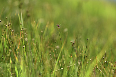 BUITEN BEELD Foto: 362144
