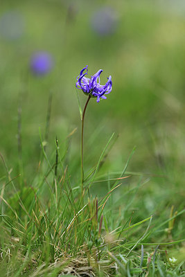 BUITEN BEELD Foto: 362179