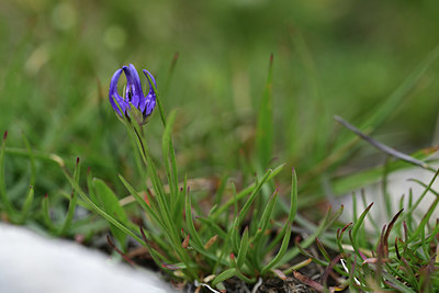 BUITEN BEELD Foto: 362180