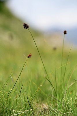 BUITEN BEELD Foto: 362207