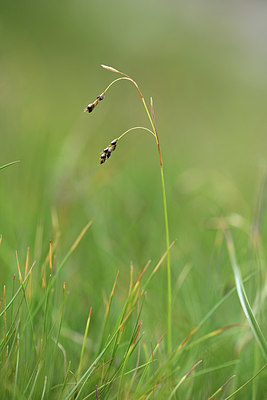 BUITEN BEELD Foto: 362211