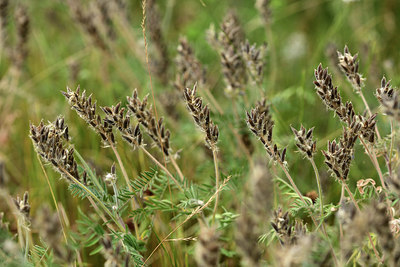 BUITEN BEELD Foto: 362262