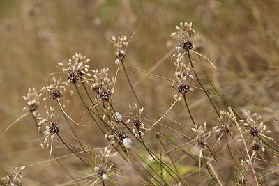 BUITEN BEELD Foto: 362265