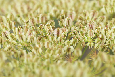 BUITEN BEELD Foto: 362273