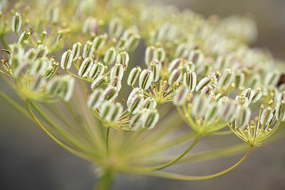 BUITEN BEELD Foto: 362275