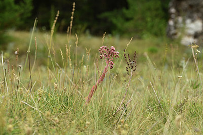 BUITEN BEELD Foto: 362279