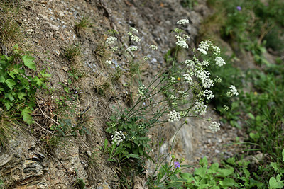 BUITEN BEELD Foto: 362366