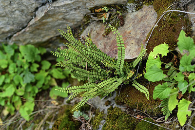 BUITEN BEELD Foto: 362367
