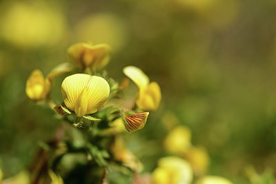 BUITEN BEELD Foto: 362373
