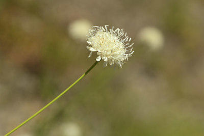 BUITEN BEELD Foto: 362390