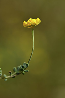 BUITEN BEELD Foto: 362401