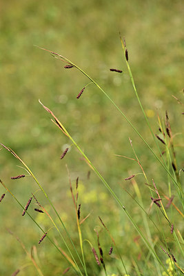 BUITEN BEELD Foto: 362425