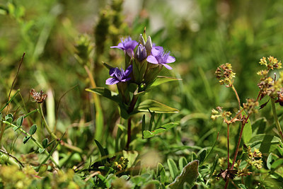 BUITEN BEELD Foto: 362440