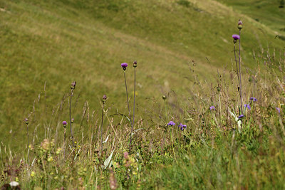 BUITEN BEELD Foto: 362443
