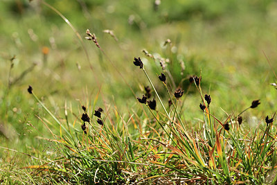 BUITEN BEELD Foto: 362444