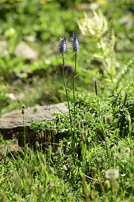 BUITEN BEELD Foto: 362449