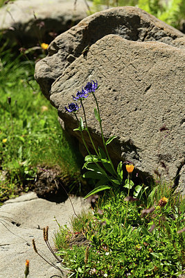 BUITEN BEELD Foto: 362455