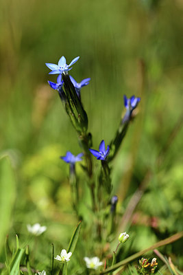 BUITEN BEELD Foto: 362456