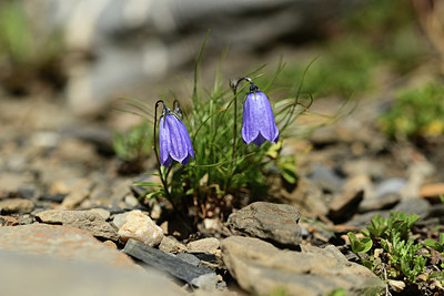 BUITEN BEELD Foto: 362459