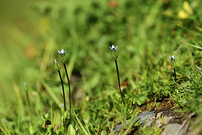BUITEN BEELD Foto: 362477