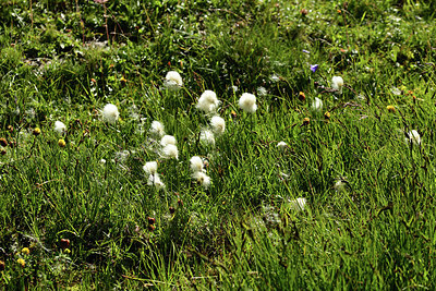 BUITEN BEELD Foto: 362481