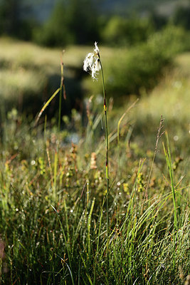 BUITEN BEELD Foto: 362492