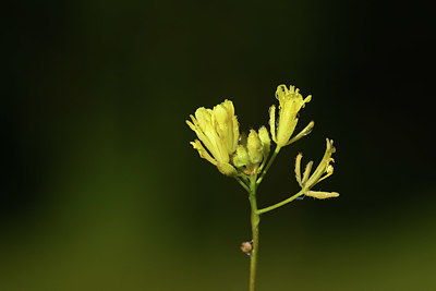 BUITEN BEELD Foto: 362509
