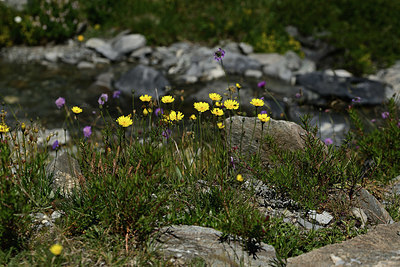BUITEN BEELD Foto: 362523