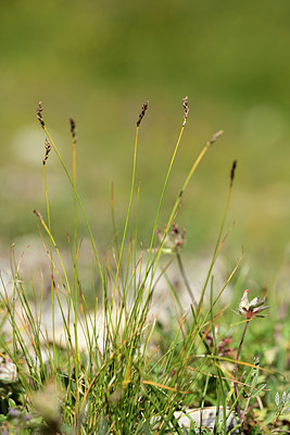 BUITEN BEELD Foto: 362575