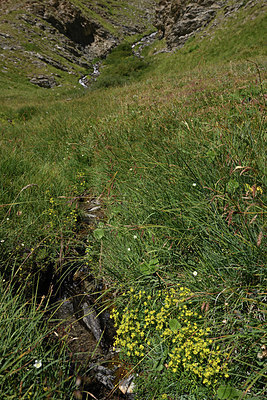BUITEN BEELD Foto: 362600