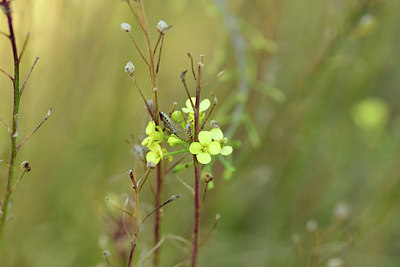 BUITEN BEELD Foto: 362604