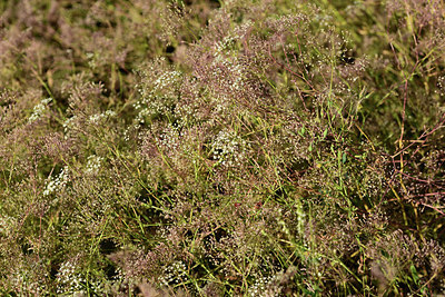 BUITEN BEELD Foto: 362605