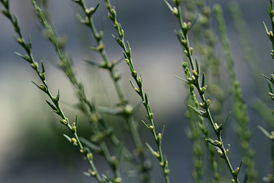 BUITEN BEELD Foto: 362615