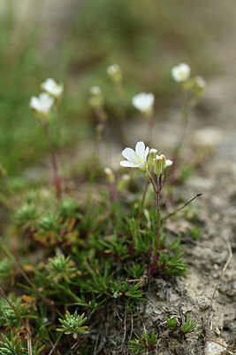 BUITEN BEELD Foto: 362661